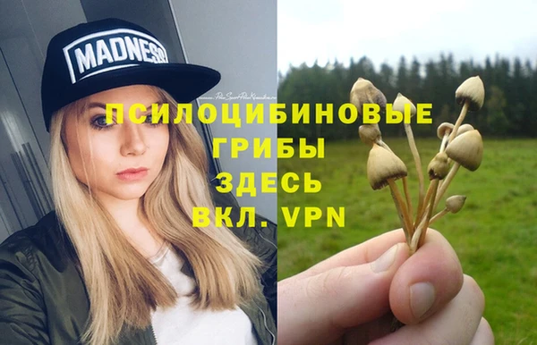 ПСИЛОЦИБИНОВЫЕ ГРИБЫ Сосновка