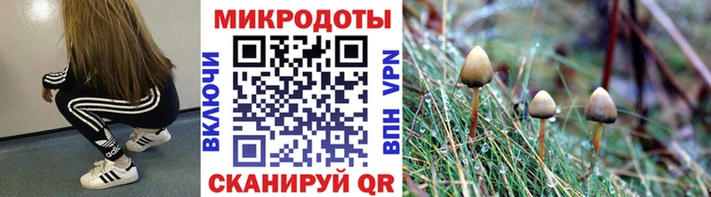 Псилоцибиновые грибы Magic Shrooms  Белоозёрский 